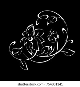 stylized flower in white lines on a black background 