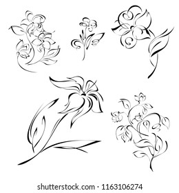 stylized flowers in black lines on a white background. SET