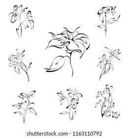 stylized flowers in black lines on a white background. SET