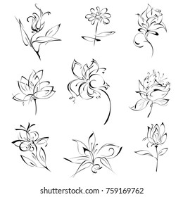 stylized flowers in black lines on a white background. SET