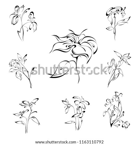stylized flowers in black lines on a white background. SET