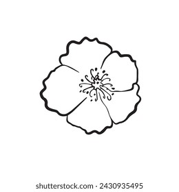 stylized flowers drawn in vector, plant sketch. linear graphics of a natural object