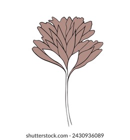 stylized flowers drawn in vector, plant sketch. linear graphics of a natural object
