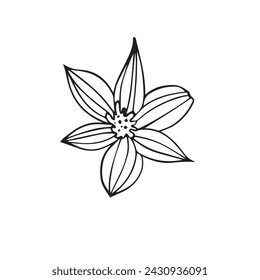 flores estilizadas dibujadas en vector, boceto de planta. gráficos lineales de un objeto natural