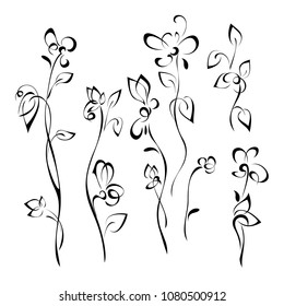stylized flowers in full length in black lines on a white background. SET