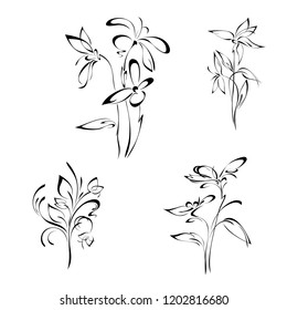 stylized flowers on the stems with leaves in black lines on a white background. SET