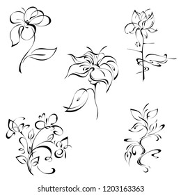 stylized flowers on the stems with leaves in black lines on a white background. SET