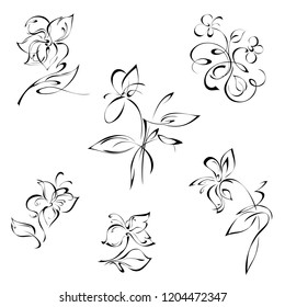 stylized flowers on the stems with leaves in black lines on a white background. SET