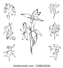 stylized flowers on stems with leaves in black lines on white background. SET