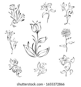 stylized flowers on stems with leaves in black lines on white background. SET