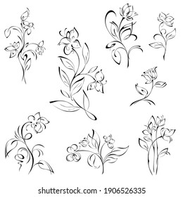 stylized flowers on stems with leaves in black lines on white background. SET