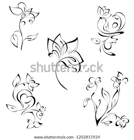 stylized flowers on the stems with leaves in black lines on a white background. SET