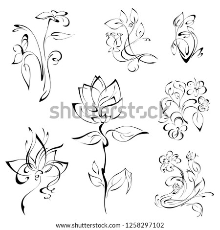 stylized flowers on stems with leaves in black lines on white background. SET