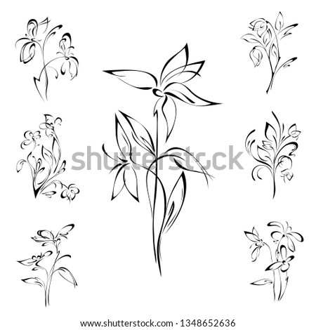 stylized flowers on stems with leaves in black lines on white background. SET