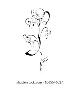 stylized flowers on a white background