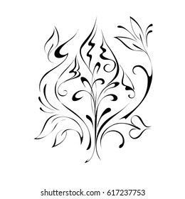 stylized flowers on a white background