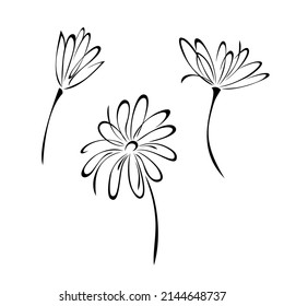 stylized flowers of the same family on a short stem. graphic decor, set