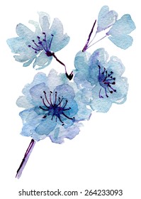 Stylized flowers watercolor illustration