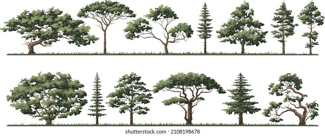 Stylized forest background, nature, landscape. Pine, spruce, tree. evergreen coniferous trees vector