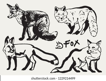 Stylized fox drawing collection with hand drawn fox logotype, hand drawn vector illustration on white background.