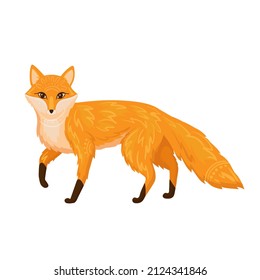 Stylized fox with ethnic ornament isolated on a white background. Vector.