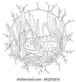 A stylized frog sits among the reeds. Sketch for adult anti-stress coloring