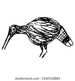 Stylized funny pecking bird. Native American art of Pueblo Mogollon Indians. Mimbres pottery. Hand drawn linear doodle rough sketch. Black silhouette on white background.