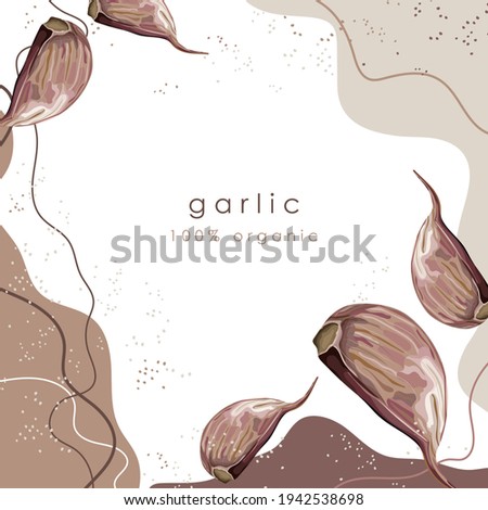 Stylized garlic on an abstract background with the text. Garlic cloves. Banner, poster, wrapping paper, sticker, print, modern textile design. Vector illustration. 