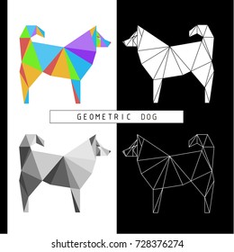 Stylized geometric model of a polygonal dog. Different color combinations. Linear image. Origami. Low polygonal illustrations