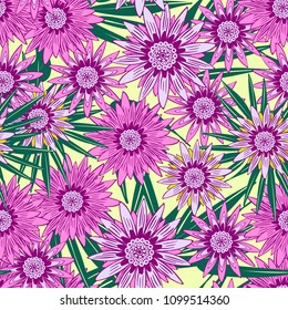 Stylized Gerbera or Daisies. Seamless Flower Pattern with Leaves in Ethnic Style. Hand-drawn African Camomile. Seamless Flower Background for Fashion Printing, Cloth, Textile, Fabric, Paper, Wrapping.