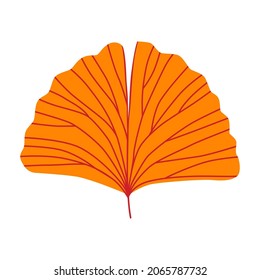 stylized gingo biloba leaf, flat design, isolated on white