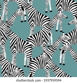 Stylized giraffes in the form of striped zebras on a light blue background in vector