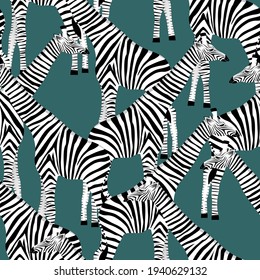 Stylized giraffes in the form of striped zebras on a dark blue background in vector