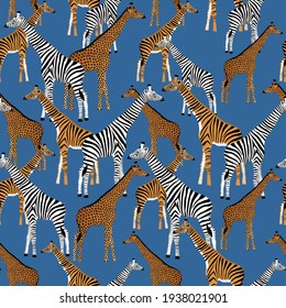 Stylized giraffes with zebra, leopard and tiger coloring on a blue background in vector