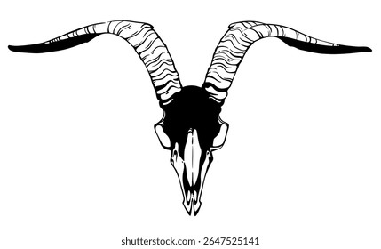 Stylized goat skull with horns vector element on white background