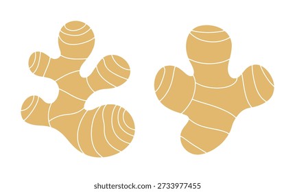 Raízes de gengibre marrom dourado estilizado com linhas curvas brancas e um fundo branco tempero alimento