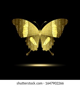 stylized golden butterfly on a black background