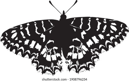Stylized gothic butterfly - Gothic black and white vector