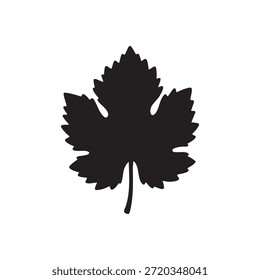 Icono de hoja de uva estilizada – Vector de silueta botánica negra