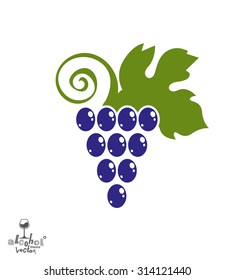 Stylized grape vine vector illustration. Winery symbol best for use in advertising and graphic design. Colorful Grape with vine tendrils and leaves isolated on white.