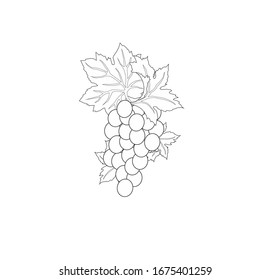 VINO DE GRIPE ESTILIZADO NEGRO Y BLANCO