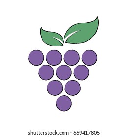 stylized grapes wine design element for organic