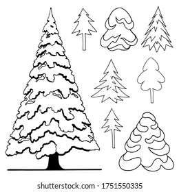 Stylized graphic image of different hand-drawn fir trees