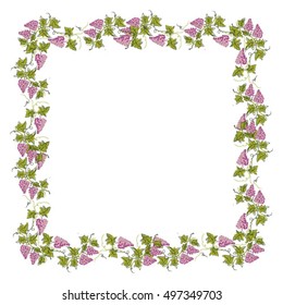 Stylized graphic image of a vine with grapes. Decorative square frame with branch of grapes, grape leaves. Good vine. Vector image.