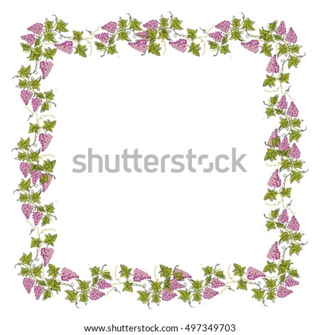 Stylized graphic image of a vine with grapes. Decorative square frame with branch of grapes, grape leaves. Good vine. Vector image.