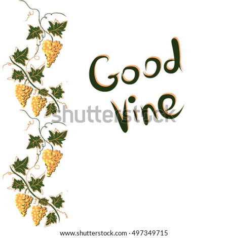 Stylized graphic image of a vine with grapes. Decorative square frame with branch of grapes, grape leaves. Good vine. Vector image.