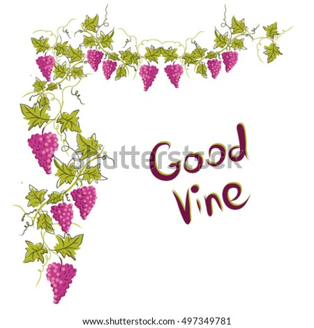 Stylized graphic image of a vine with grapes. Decorative square frame with branch of grapes, grape leaves. Good vine. Vector image.