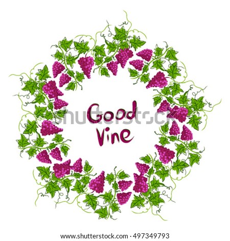 Stylized graphic image of a vine with grapes. Decorative square frame with branch of grapes, grape leaves. Good vine. Vector image.