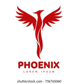 Stylized graphic phoenix bird logo templates. Collection of creative phoenix bird logotype templates, growth, development, power concept. Vector illustration isolated on white background.