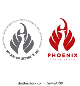 Stylized graphic phoenix bird logo templates. Collection of creative phoenix bird logotype templates, growth, development, power concept. Vector illustration isolated on white background.